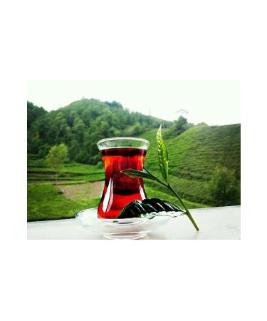 Rize Tea Loose Plain Tea 5000 gr - Buy Online on GoSupps.com