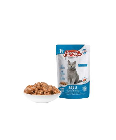 Energy Salmon Wet Cat Food 85 Grams-24 Pieces