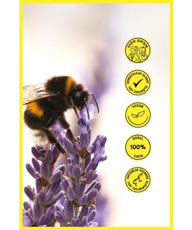 Heaven on Earth Mineral Sunscreen 0 Natural and Organic Content Protective Water Resistant Vegan 50 Spf 50 ml - Buy Online on GoSupps.com