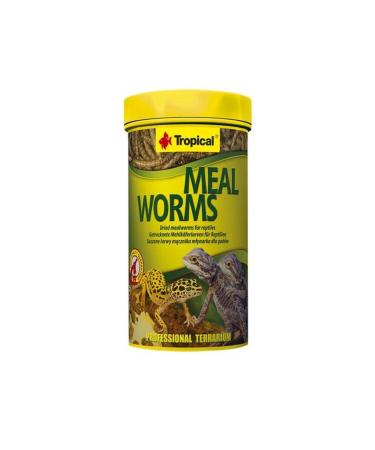 Tropical Meal Worms Mealworms 250ml 30 gr