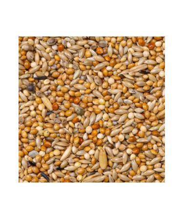 Deli Nature Premium Budgies Budgie Bird Food 1100gr - Buy Online on GoSupps.com