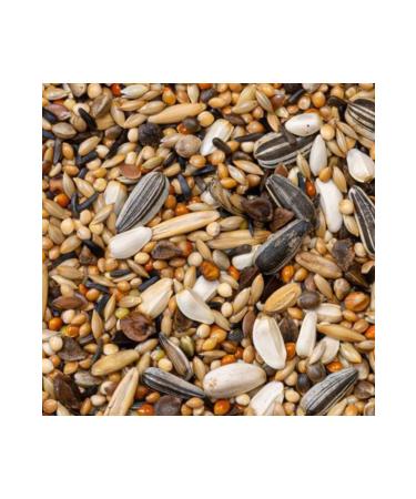 Deli Nature Premium Large Parakeets Parakeet Food 1000gr - Buy Online on GoSupps.com