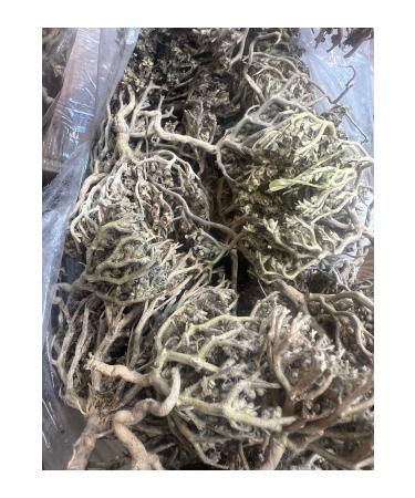 forevers Virgin Mary Hand-Fatma Mother Hand Herb 175 Grams - Buy Online on GoSupps.com