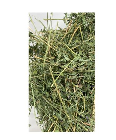 Dry Alfalfa Grass Rodent Grass 1 Kg