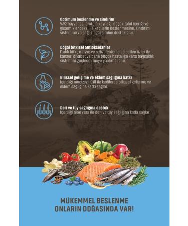 Spectrum Low Grain Adult Cat Food with Salmon Anchovy and Cranberry 2kg - Buy Online on GoSupps.com