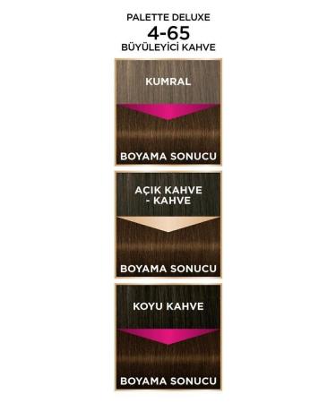 Palette Deluxe 4-65 Fascinating Brown X 2 Hair Dye - Buy Online on GoSupps.com
