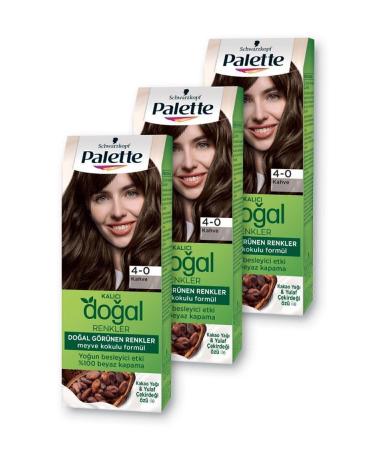 Palette Permanent Natural Colors Hair Dye 4-0 Brown X 3 Pieces - Buy Online on GoSupps.com