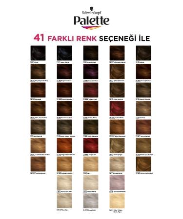 Palette Deluxe 10-1 Ash Light Blonde X 2 Pieces - Buy Online on GoSupps.com