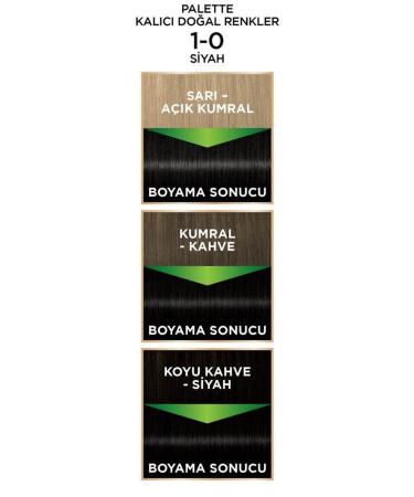 Palette Permanent Natural Colors 1-0 Black X 2 Pieces - Buy Online on GoSupps.com