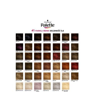 Palette DELUXE HAIR DYE 1-1 NIGHT BLUE - Buy Online on GoSupps.com