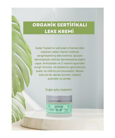 Prof Saracoglu Blemish Cream Organic Certified 50 ml - Buy Online on GoSupps.com