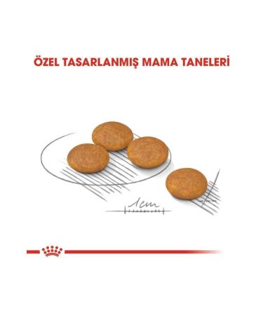 Royal Canin Mini Dermacomfort 3kg - Buy Online on GoSupps.com