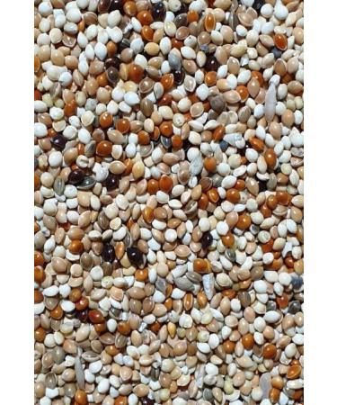 Quality Luxury Special Mixed Budgie Food 5 Kg