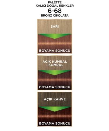 Palette Permanent Natural Colors 6-68 Bronze Chocolate X 2 Pieces - Buy Online on GoSupps.com