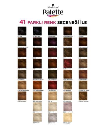 Palette Deluxe 4-65 Fascinating Brown X 2 Hair Dye - Buy Online on GoSupps.com
