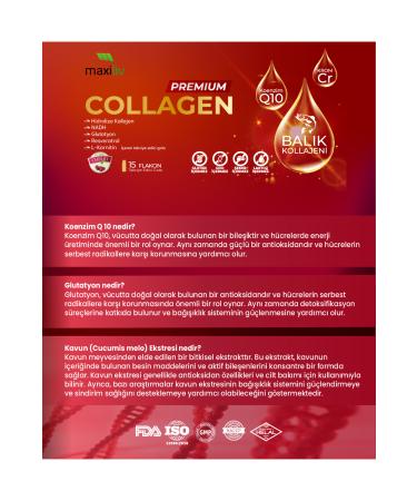 Maxiliv Premium Collagen - Hydrolyzed Collagen NADH Glutathione Resveratrol L-Carnitine - Buy Online on GoSupps.com
