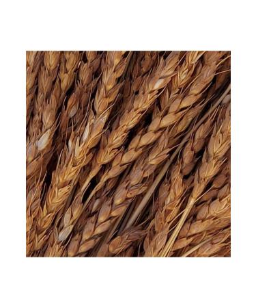 Diplomalicifci Seed Zerun Wheat 2 Kg