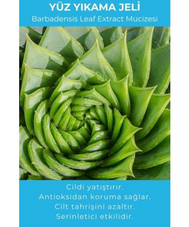 Vitanova Chamomile Flower Extract Purifying Refreshing and Moisturizing Face Wash Gel 250 ml - Buy Online on GoSupps.com