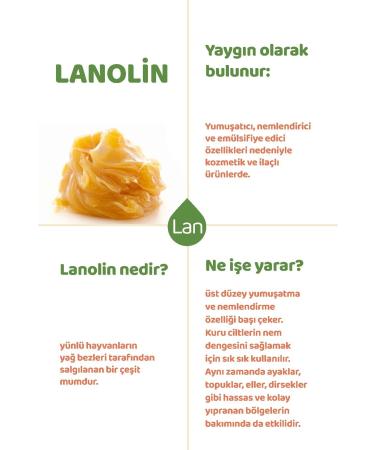 Argan Cure Heel Crack Cream - Foot Crack Cream 75 Ml - Buy Online on GoSupps.com