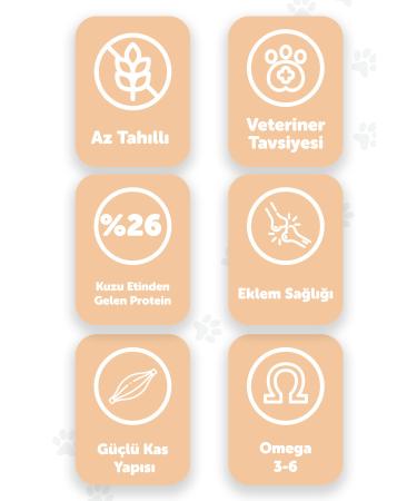 PAWGO Puppy Prime 2 Kg | Lamb Meat | Puppy Food - Buy Online on GoSupps.com