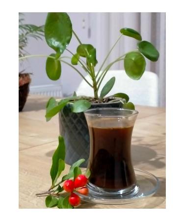 EK N NUTS AND COFFEE Ekin Antakya (HATAY) 1000 gr Medium Roasted Antakya (HATAY) Coffee-1000 gr - Buy Online on GoSupps.com