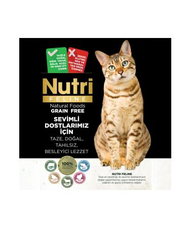 Nutri Feline 10kg Adult Sterilized Cat Food with Salmon - Buy Online on GoSupps.com
