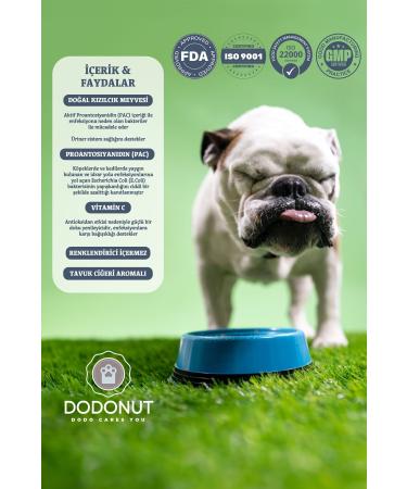 DODONUT EasyBerry Cat & Dog Urinary Tract Health Nutritional Supplement Cranberry Extract Vitamin C 40 Tablets - Buy Online on GoSupps.com
