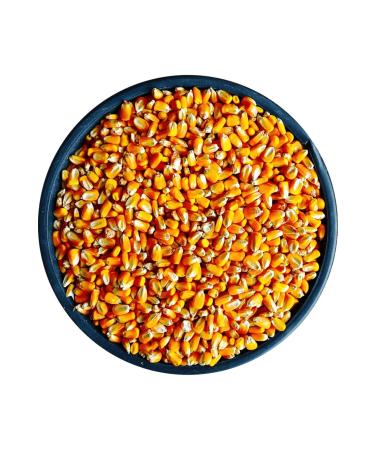 Our Feed Corn 5kg Chicken Feed Corn for Feed Poultry Feed Goose Duck Feed Bird Feed in Special Bag