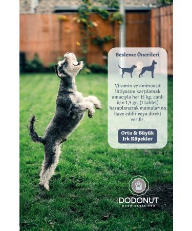 DODONUT Happyderm Large and Medium Breed Dogs Biotin Added Skin and Coat Health Nutritional Supplement 100 Tablets - Buy Online on GoSupps.com