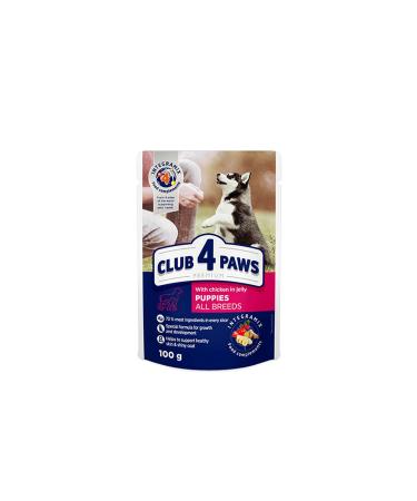 Club4Paws Chicken Pouch Puppy Jelly 100 gr X 6 Pieces 462122