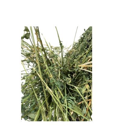 Dry Alfalfa Grass Rodent Grass 2 Kg