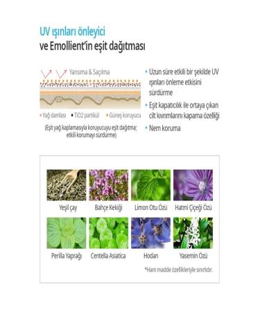 ATOMY01 ATOMY SUN PROTECTIVE CREAM BEIGE - Buy Online on GoSupps.com