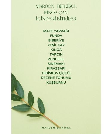 MAH SER Quinoa Herbal Tea Special Mix Detox Tea 3 Boxes - Buy Online on GoSupps.com