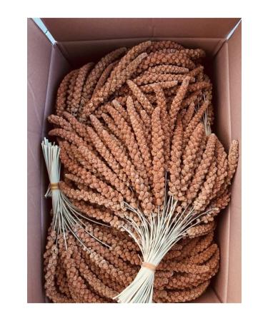 Dal Millet 1 Kg New Crop Natural Dal Millet - Buy Online on GoSupps.com