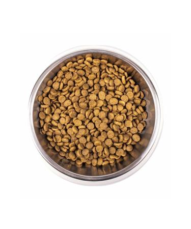 Monge Cat Kitten Daily Line Chicken Kitten Food 1.5 Kg - Buy Online on GoSupps.com