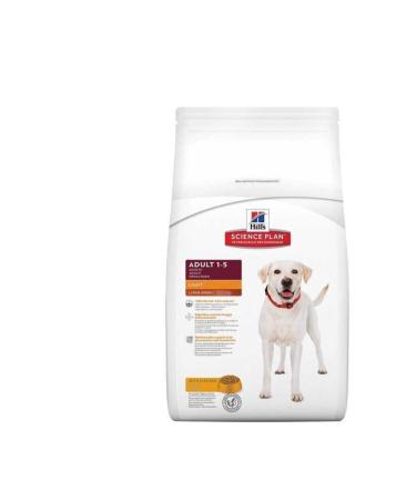 Hill's Light Large Breed Adult Dog Dry Food 14 Kg