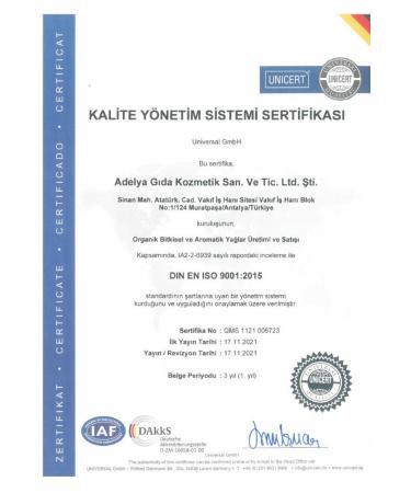 Adelya Life Castor Oil 0 Pure Organic Castor Oil 50 ml Cold Press / 0 Natural Castor Oil Cold Press - Buy Online on GoSupps.com