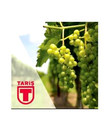 Tari TAR GRAPE MOLASSES 640 GRAMS - Buy Online on GoSupps.com