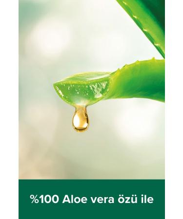 Palmolive Spa Therapy Clay Detox Clay and Aloe Vera Extract Bath and Shower Gel 2 x 500 ml + Shower Loofah Gift - Buy Online on GoSupps.com