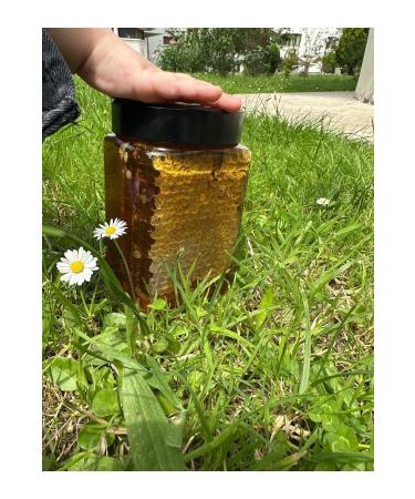 TANBAL Organic comb raw honey net 1kg - Buy Online on GoSupps.com