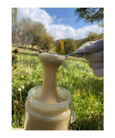 White Honey from the Village - 400 Grams - Buy Online on GoSupps.com