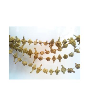 Karg Local Product Market Famous Karg Dried Flower Okra - (500 GR) Handmade Natural from Our Own Region