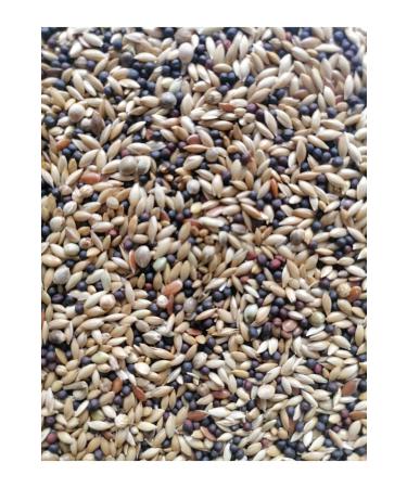 Vivid Bird 724 Super Mixed Canary Food 10 kg