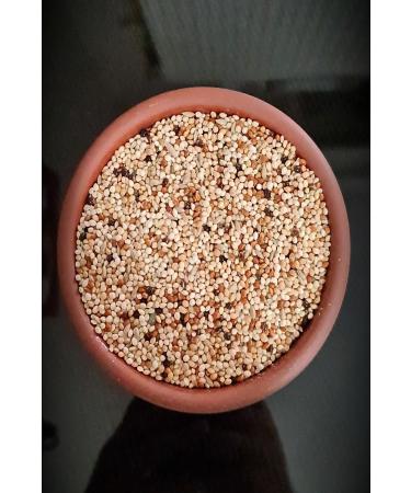 Ankara Feed House Mixed Budgie Food 5 Kg