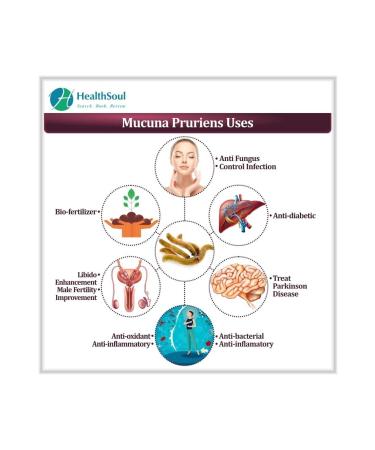 Now L-dopa Dopa Mucuna Dopamine Brain Support Standardized Kapikacchu Extract Naturally Occurring 15% - Buy Online on GoSupps.com