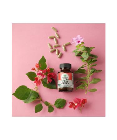 Organic India Sugar Balance - Natural Insulin Supplement (180 Capsules) - Buy Online on GoSupps.com