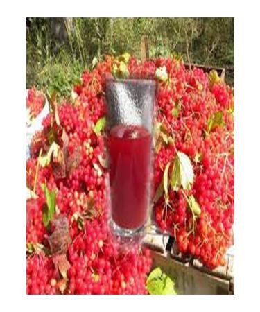 attarrifatcanhatayylocal Gilaburu Nectar 1000 ml