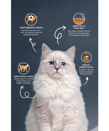 Reflex Strelised Salmon Sterilized Cat Food 10 Kg (SHADOW AV) - Buy Online on GoSupps.com