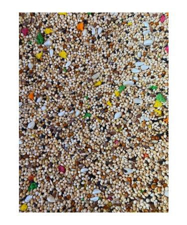 Bereketlimama Mixed Budgie Food -Special Mix- 5 Kg - Buy Online on GoSupps.com