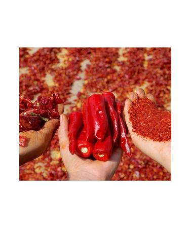 gazisofraantep hot red pepper 500 grams